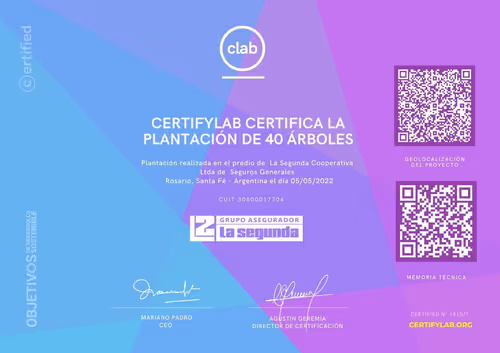 Item #82174489999726127748053989005133901530503286489307655945421605353759742885889 Media