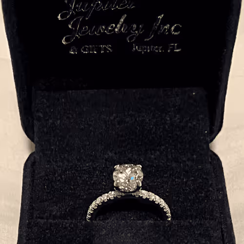 RippingIt Collection