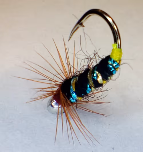 Item #66303426327005776770429645895989067322677663430940178213036344730494447911012 Media