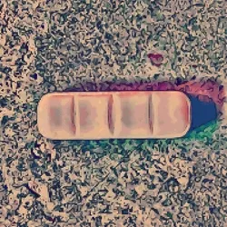 Rainbow zanx Trippy