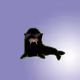 12013278868489092285595131744138102918675626424442678621345945972282505560065