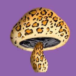 46034849265832991985054005845495595569977159826723230396281255925206352920577