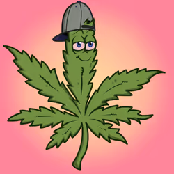 9818199537499996123095127027842123608709395159366845106069711917259849465857