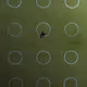 100600280271040798317723628260513137156606623100883316454227272130965291401217