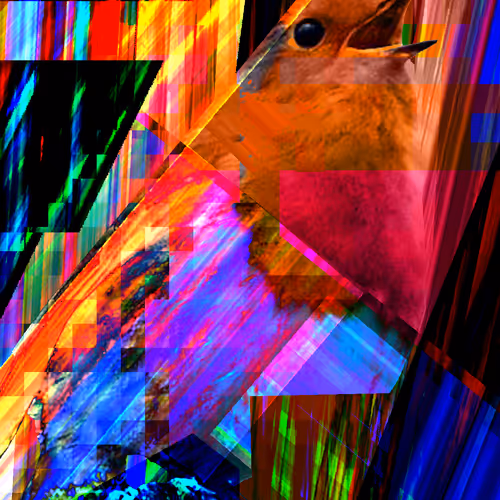 redcip