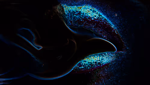 Item #91521493926780612150422146010199830537349072713496019052877826707578589020161 Media