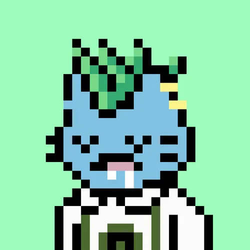 24px
