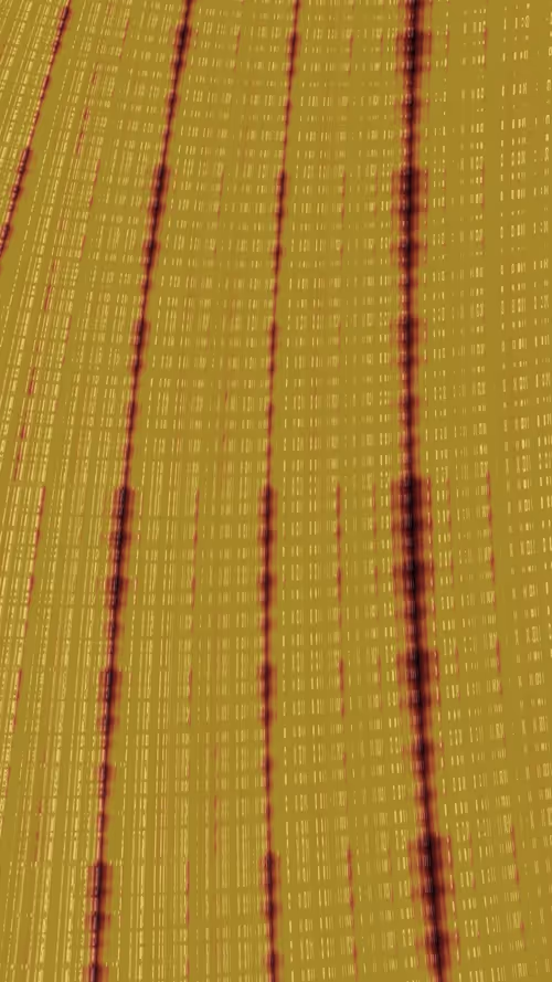 Item #111467654553093128757963930947251295775938028787530341824329965767303024869377 Media