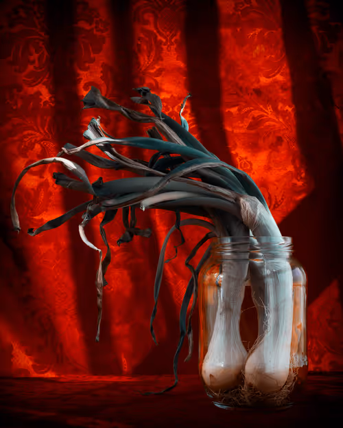 Item #65944253536368355183911176493195225270451461120377666666009501297052668133377 Media