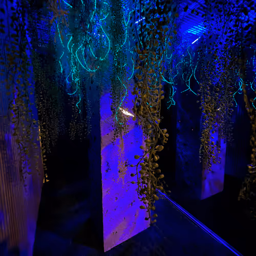 Project : OBLIVION <Special Edition> Large Image Size