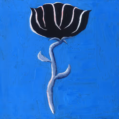 80376447980712332360511336774523780605725753808069375335480488222893094731777