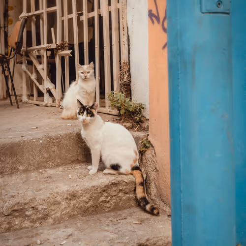 Streetsofistanbul