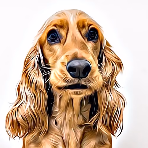 Who's a good girl?