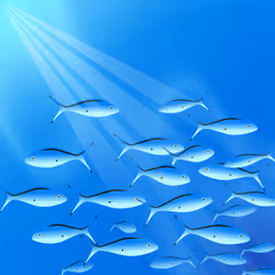 39555325150174100757330711978092095356658009003679986213120678414226884132884