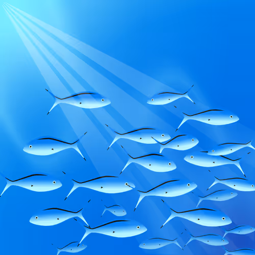 39555325150174100757330711978092095356658009003679986213120678414226884132884