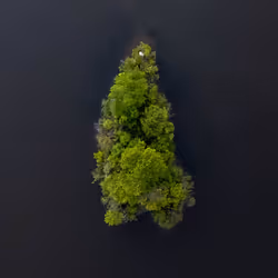 100600280271040798317723628260513137156606623100883316454227272152955523956737