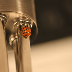 51124555051901614330264480006545612592022390906904121289505624544816538845185