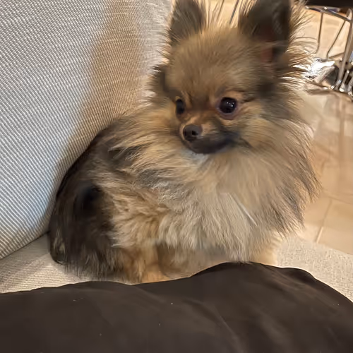 LUNA