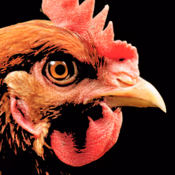 93041893823655267313800827934656988506423291894387914583269607447489973059585