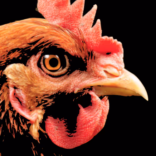 93041893823655267313800827934656988506423291894387914583269609183618833317889