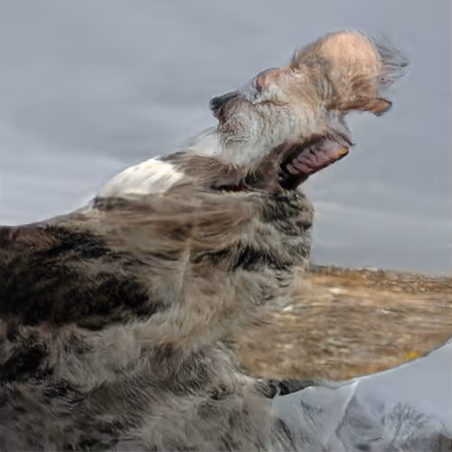 Item #23910318484575006226361107985348717942122059822947182365337484863788889931777 Media