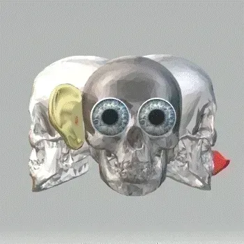 Item #69046647551876631812407603757465421868469504969916764237364829473324469846017 Media