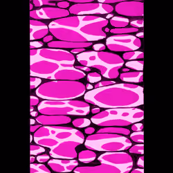 W006