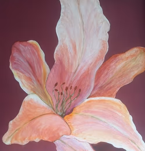 Item #54084906091757968822903951019299414361125981671611611417370072961271059185665 Media