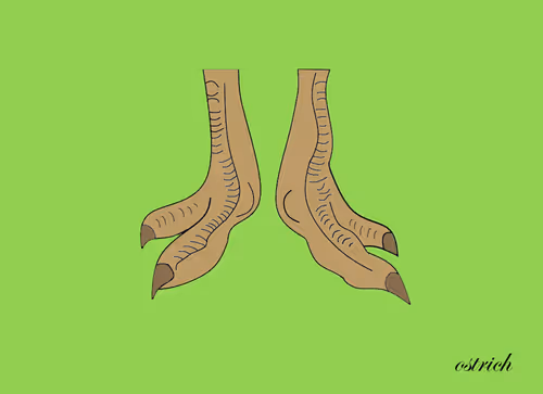 Item #24843950328459654647592333095373915695654115129450378637534313013428761919489 Media