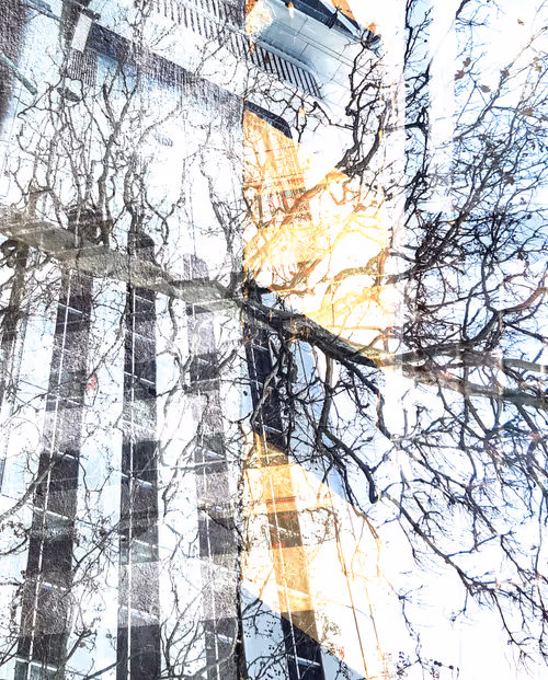 Item #58312433631864427601172952075011378080943056977712016653169188521508067082241 Media