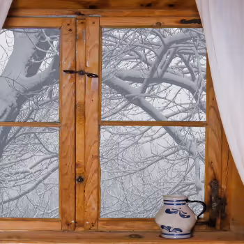 Item #102065853037249038497467446426669295549892530571999684601011870745829299978241 Media