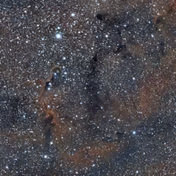 IC 1396 - Elephant's Trunk Nebula 