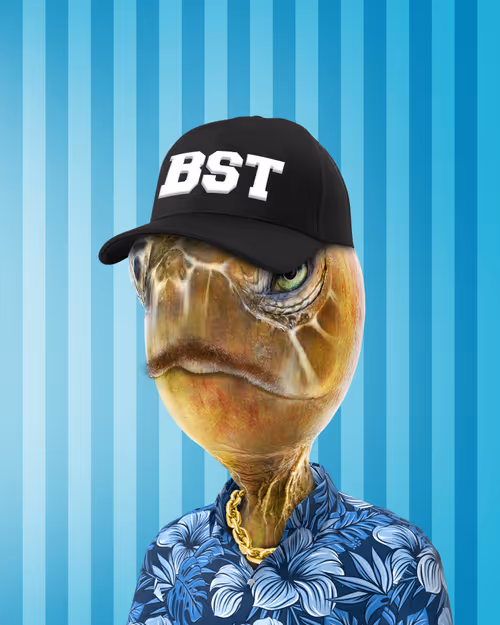 Item #85342513923341284672507719771166105494526599961118880187670386270227365101569 Media