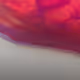 101798116254510798330486236990451841615541533753866395116378150827953437540353