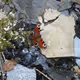 Dirty_ Collection - old