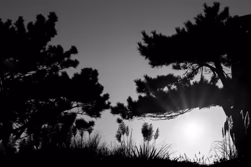 Item #87014449869533570037258101988122133423496035447680150931597385506960212754433 Media