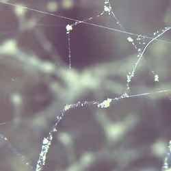 26658692853047594662684063584859351739740990353533291936945253103186516901889