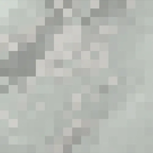 Item #109759330268527901486132477372620674512960772263422676404180015436832492748801 Media