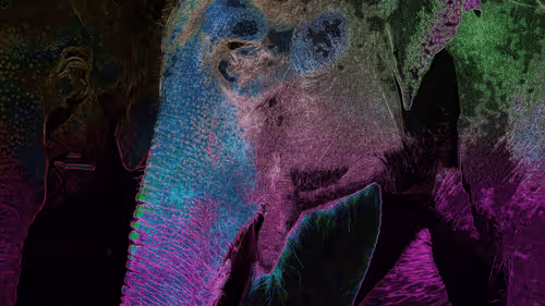 Item #44700177556079130579027571864789921161109844202338692374214745859067731771393 Media