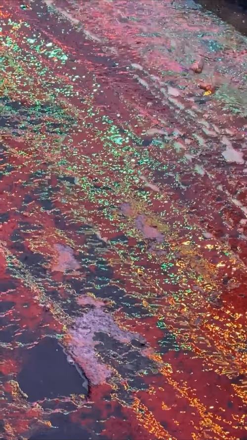 Item #62402000334580523921237358418718502457721815832787791947048085173850318307329 Media