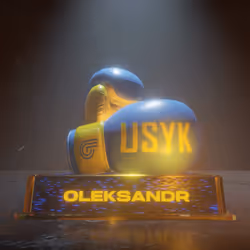Usyk Gloves 6/17