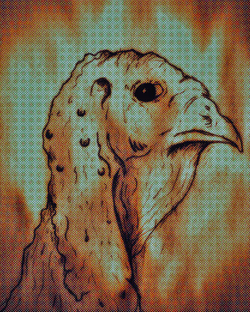 Item #58464231899672554220977429482409761262837585671771119037668409123405043859457 Media