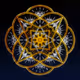 110616752357405358347905975261669346932574088309026404440104170045711547629569