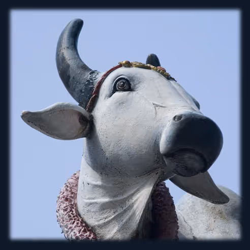 Item #54122820079415037529041165263863470112191810228707565026527697883342156333057 Media