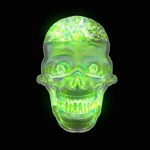 Renwa skull