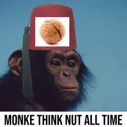 Monke