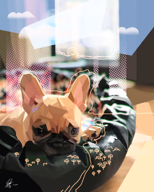 Item #56669498029202450346916797523249832166720531002368278834248555986925528285185 Media