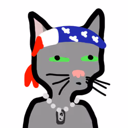 Low effort Cat 12