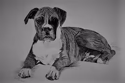 Item #87883982563548896156173273073311949349227832821520783142673990967829251227649 Media