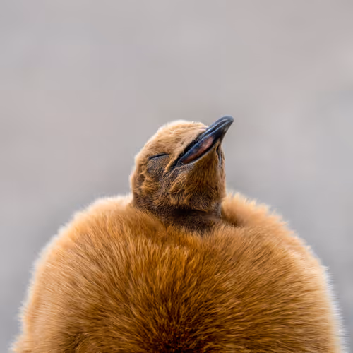 1833942018307685364430672493149383567190945732151624631916381605538016788530